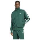 collegiate gree